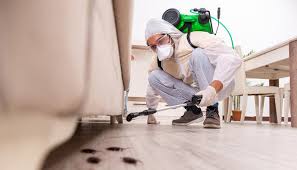 Best Termite Inspection and Treatment  in Westerville, OH